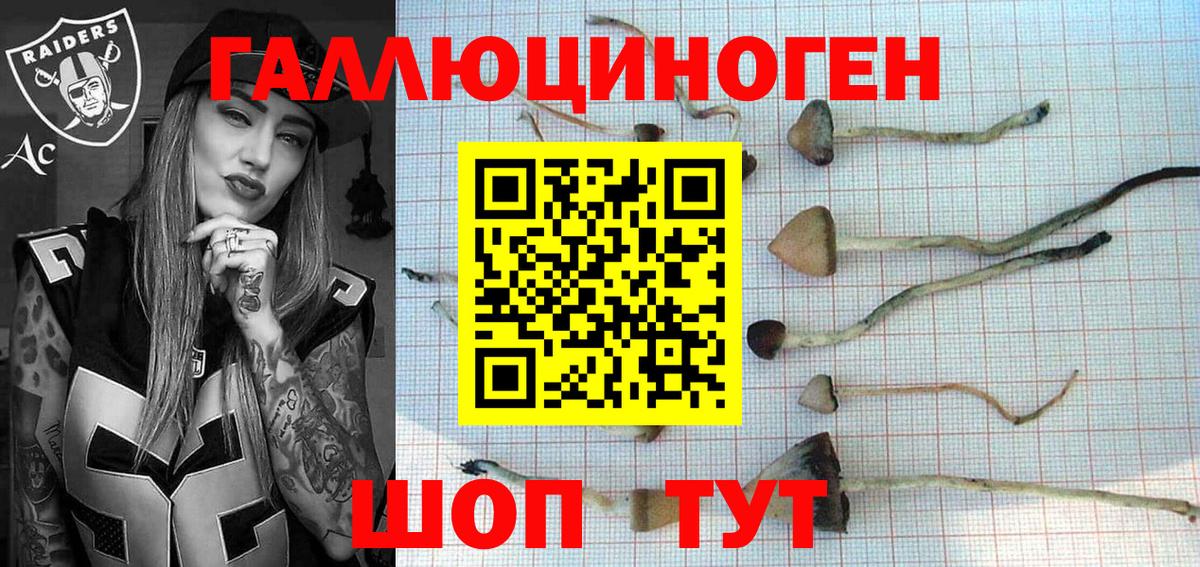 Кизилюрт  Галлюциногенные грибы MAGIC MUSHROOMS  Вход с VPN 